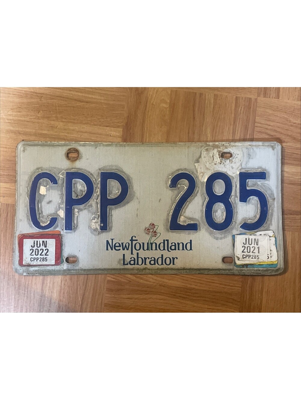 Newfoundland License Plate (Expired) Labrador Canada Passenger 2021 2022 CPP 285